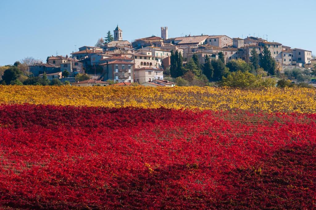 Hotel La Piccola Stazione Torrita di Siena Kültér fotó